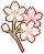桜のアイコン、イラスト c06