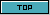 TOPアイコン 21a-top