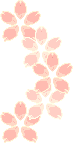桜の壁紙、背景素材 o02