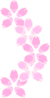 桜の壁紙、背景素材 o03