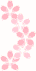 桜の壁紙、背景素材 o11