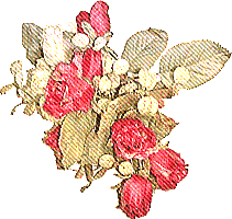 薔薇の壁紙、背景素材 v01