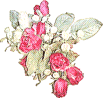 薔薇の壁紙、背景素材 v02