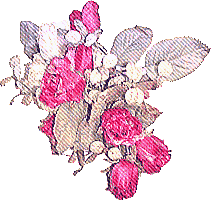 薔薇の壁紙、背景素材 v03