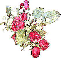 薔薇の壁紙、背景素材 v05