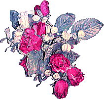薔薇の壁紙、背景素材 v06