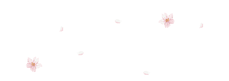 桜の壁紙、背景素材 w01