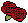 薔薇のアイコン、イラスト ibf01