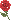 薔薇のアイコン、イラスト xb01