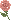 薔薇のアイコン、イラスト xb10