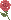 薔薇のアイコン、イラスト xb14