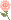 薔薇のアイコン、イラスト xb15