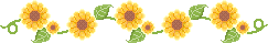 sunflowers and leaves